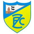 Escudo CF Zuazo B